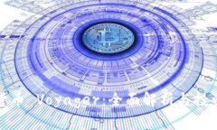 加密货币 Voyager：全面解析