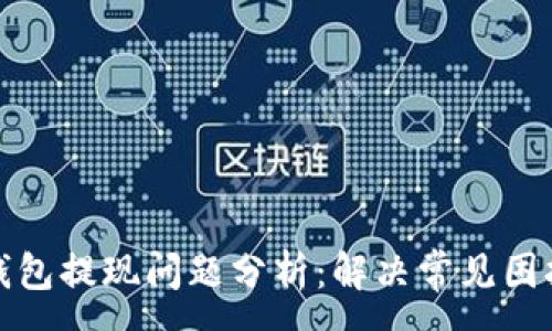 :
加密币钱包提现问题分析：解决常见困扰的方法
