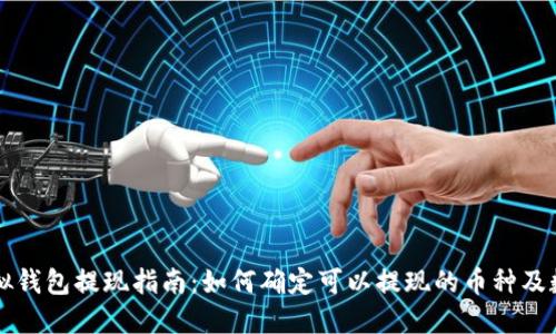 虚拟钱包提现指南：如何确定可以提现的币种及数量