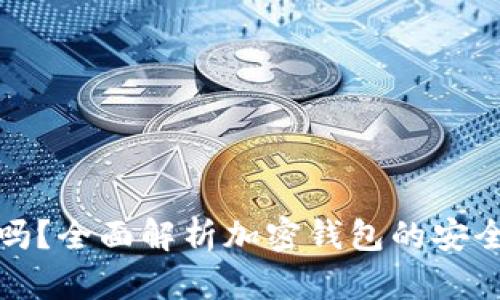 加密钱包安全吗？全面解析加密钱包的安全性与使用技巧