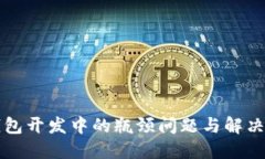 区块链钱包开发中的瓶颈