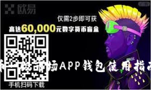 加密货币一级市场APP钱包使用指南与推荐