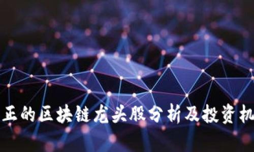 真正的区块链龙头股分析及投资机会