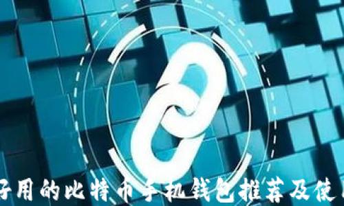 
中国好用的比特币手机钱包推荐及使用指南