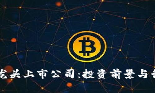 区块链龙头上市公司：投资前景与行业分析