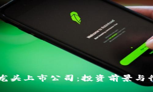 区块链龙头上市公司：投资前景与行业分析