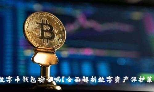 数字币钱包安全吗?全面解析数字资产保护策略