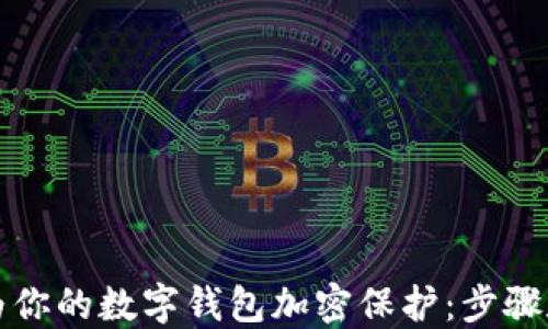 
如何为你的数字钱包加密保护：步骤和技巧