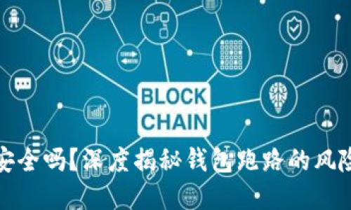 虚拟币钱包安全吗？深度揭秘钱包跑路的风险与防范措施