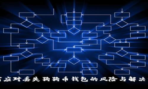 如何应对丢失狗狗币钱包的风险与解决方案