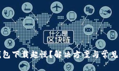 比特币钱包下载超慢？解决方案与常见原因解析