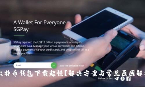 比特币钱包下载超慢？解决方案与常见原因解析