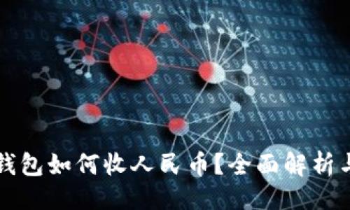 ```xml
虚拟货币钱包如何收人民币？全面解析与实用指南