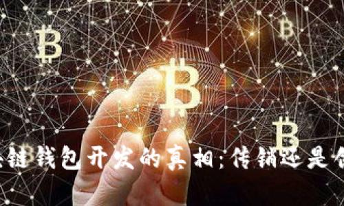 区块链钱包开发的真相:传销还是创新?