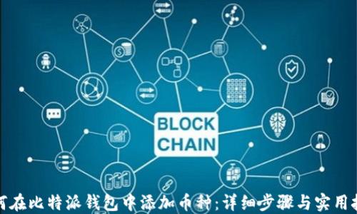 
如何在比特派钱包中添加币种：详细步骤与实用技巧