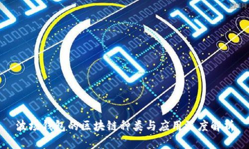 波场钱包的区块链种类与应用深度解析
