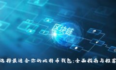 选择最适合你的比特币钱