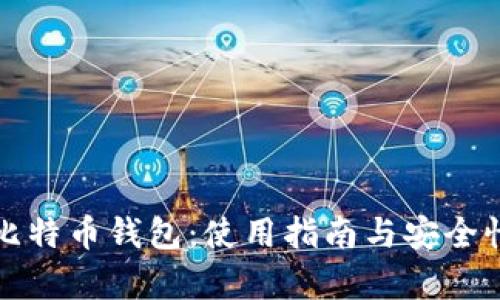揭秘比特币钱包：使用指南与安全性分析