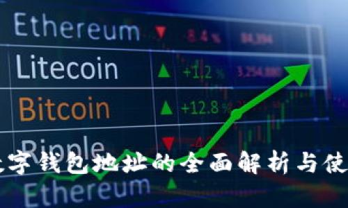 中币数字钱包地址的全面解析与使用指南
