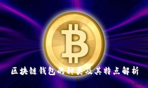 区块链钱包的种类及其特点解析