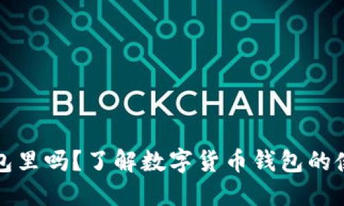 比特币能放在钱包里吗？了解数字货币钱包的使用方法与安全性