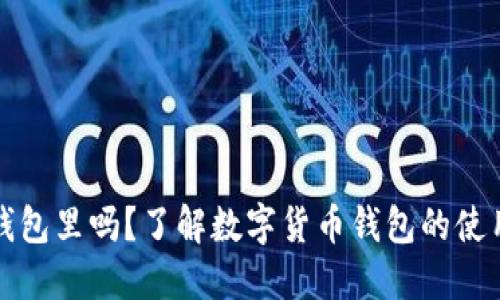 比特币能放在钱包里吗？了解数字货币钱包的使用方法与安全性