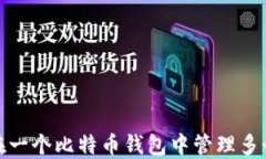 如何在一个比特币钱包中