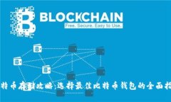 比特币存储攻略：选择最