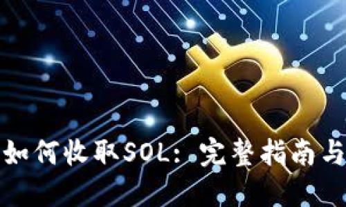 小狐钱包如何收取SOL: 完整指南与实用技巧