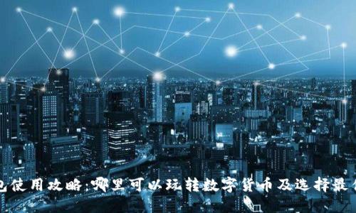 数字币钱包使用攻略：哪里可以玩转数字货币及选择最佳钱包推荐