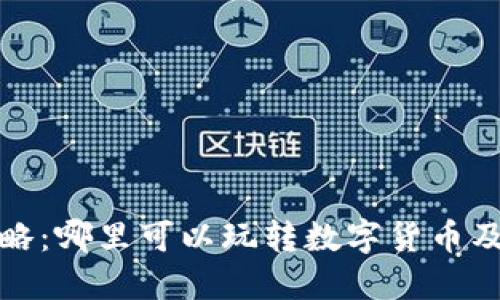 数字币钱包使用攻略：哪里可以玩转数字货币及选择最佳钱包推荐