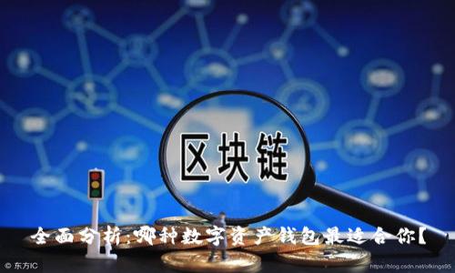 全面分析：哪种数字资产钱包最适合你？