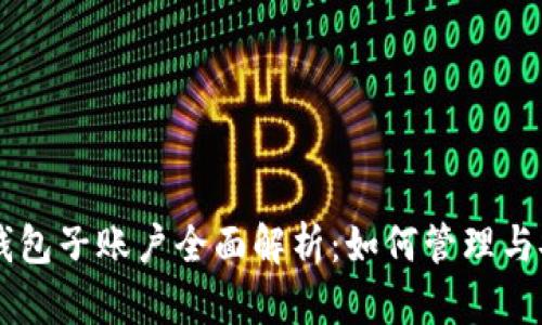 区块链钱包子账户全面解析:如何管理与安全使用