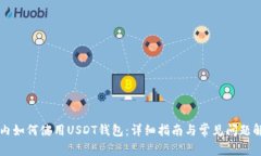 国内如何使用USDT钱包：详