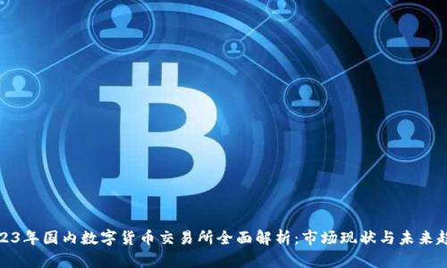 2023年国内数字货币交易所全面解析：市场现状与未来趋势