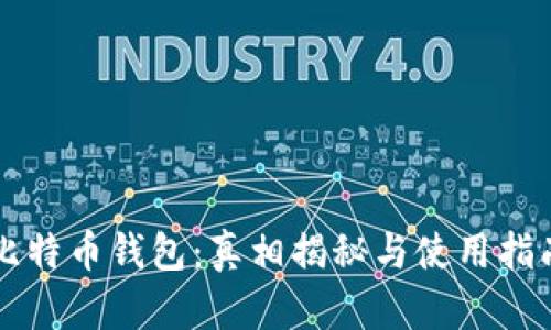 比特币钱包：真相揭秘与使用指南