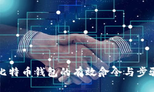 解锁比特币钱包的有效命令与步骤详解