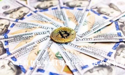 USDT可以放到钱包中吗？详解USDT钱包的选择与使用