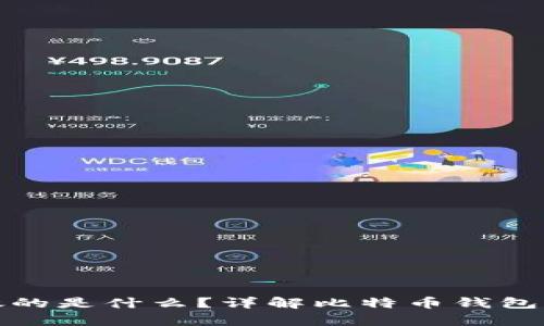 比特币钱包存放的是什么？详解比特币钱包的功能与安全性