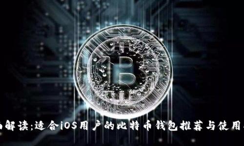 全面解读：适合iOS用户的比特币钱包推荐与使用指南