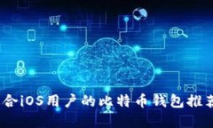 全面解读：适合iOS用户的