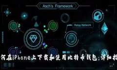 如何在iPhone上下载和使用
