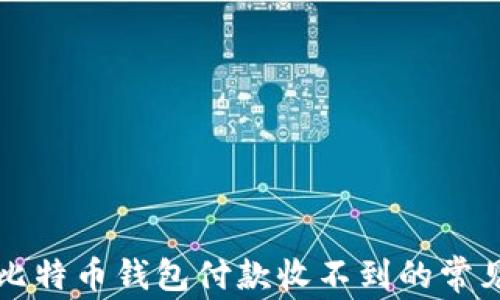
解决比特币钱包付款收不到的常见问题