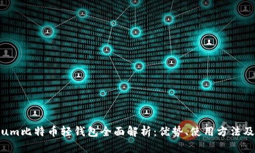 Electrum比特币轻钱包全面解析：优势、使用方法及安全性