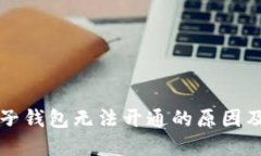虚拟币电子钱包无法开通