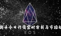 狗狗币今日行情实时分析