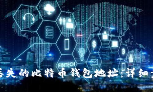 如何找回丢失的比特币钱包地址：详细步骤与技巧