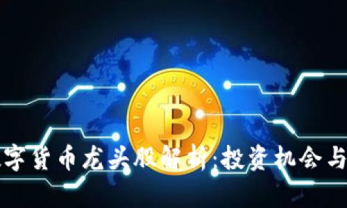 区块链数字货币龙头股解析：投资机会与风险评估