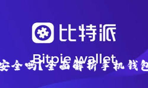 区块链手机钱包安全吗？全面解析手机钱包的安全性与风险