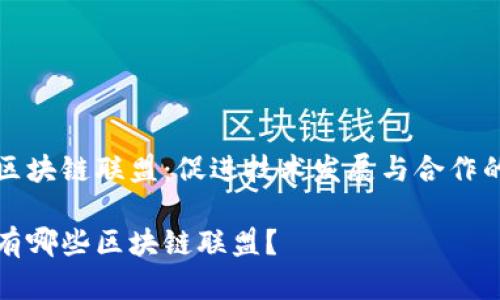 全球区块链联盟：促进技术发展与合作的桥梁

全球有哪些区块链联盟？